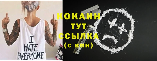 прущие грибы Вяземский