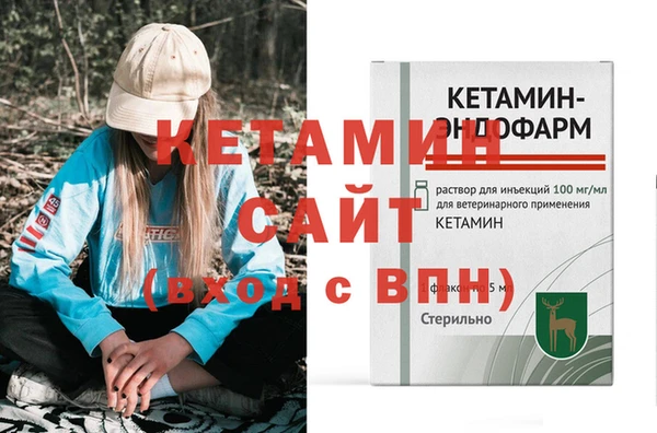 прущие грибы Вяземский