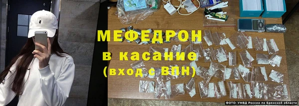 прущие грибы Вяземский