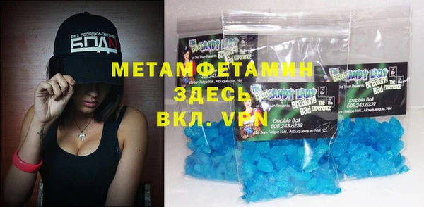 прущие грибы Вяземский