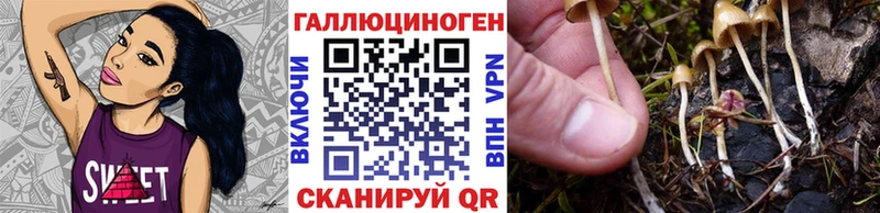 Псилоцибиновые грибы ЛСД  Купить закладки  Медногорск 